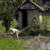 rice_ubud_v_0159_bal0975.jpg